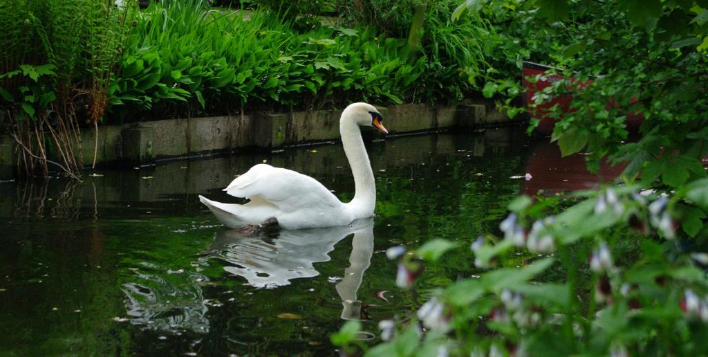 B&B Canal Deluxe Brugge Eksteriør bilde